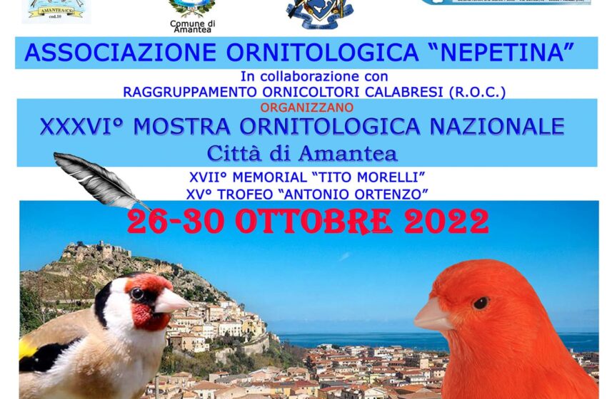 Mostra ornitologica nazionale ad Amantea