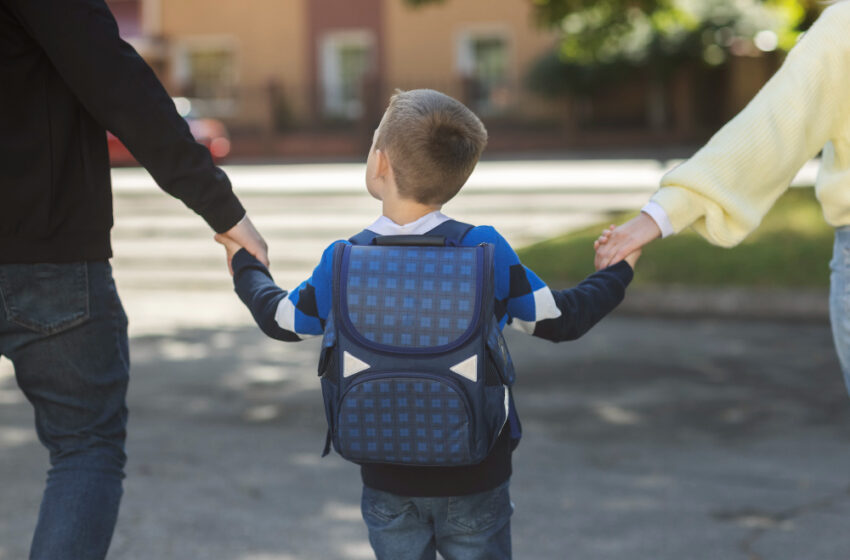 Il PD Amantea pungola sui lavori delle scuole Pascoli