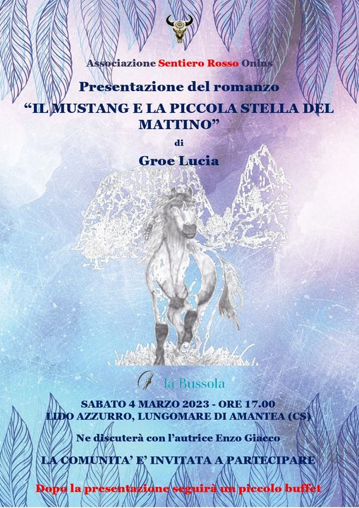 Locandina di presentazione del romanzo "Il mustang e la piccola stella del mattino" di Lucia Groe