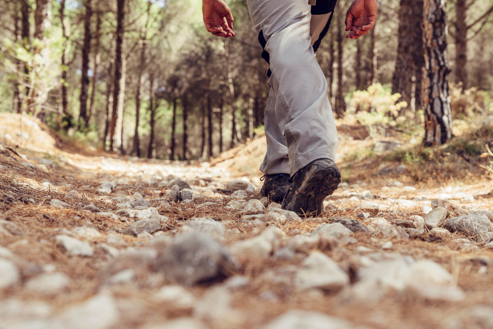 Piedi che camminano nel bosco